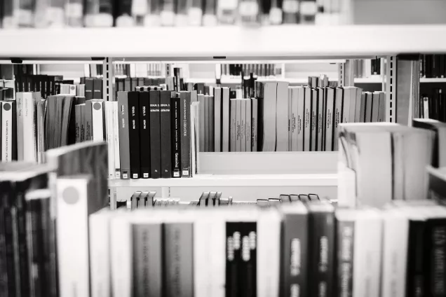 Bookshelfs. Photo.