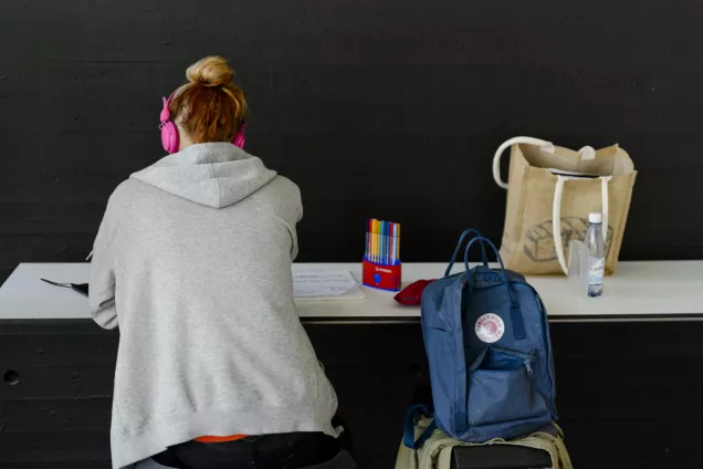 Student studying at desk, from behind. Photo.